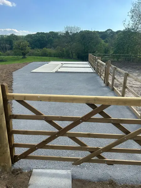 CDS Arenas Project