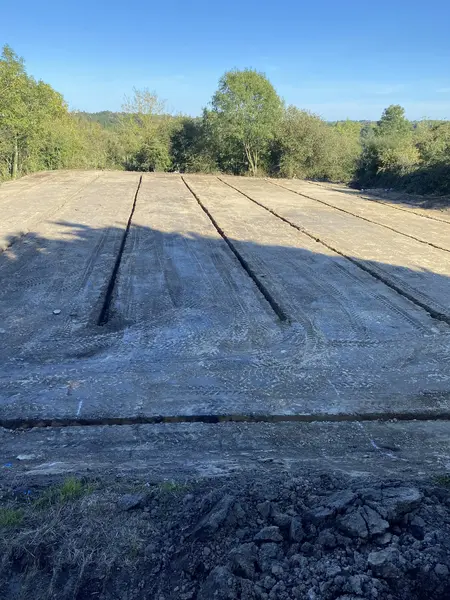 CDS Arenas Project