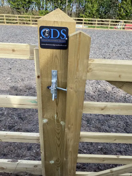 CDS Arenas Project