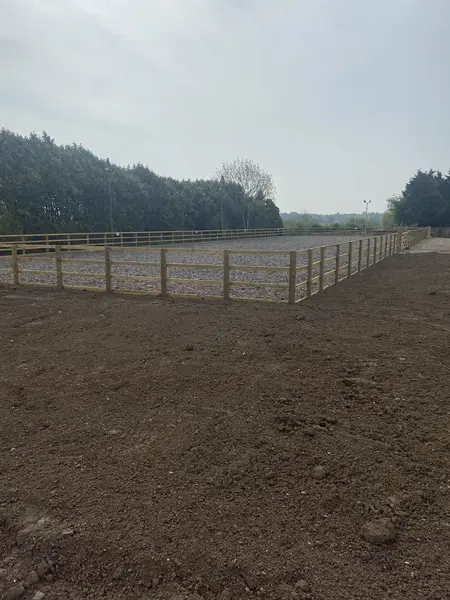CDS Arenas Project